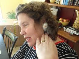 AMY DOCHERTY Obituary (1959