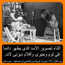 أثناء تصوير الأسد الذى يظهر دائما فى توم وجيرى وأفلام ديزنى لاند movie posters movies poster