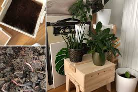 On peut mettre l'herbe de tonte dans le compost ? Lombricomposteur Et Si Un Ver De Terre Gerait Vos Poubelles C Est A Cherbourg