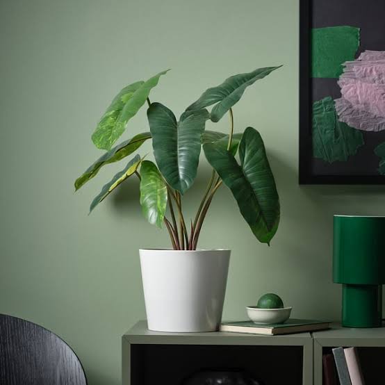 Artificial Plant