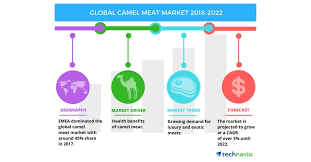 By sara ipatenco updated march 11, 2020. Top Factors Driving The Global Camel Meat Market Technavio Business Wire