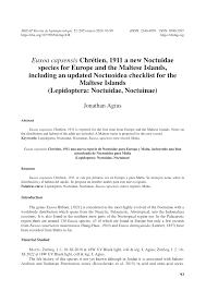 PDF) Euxoa capsensis Chrétien, 1911 a new Noctuidae species for Europe and  the Maltese Islands, including an updated Noctuoidea checklist for the  Maltese Islands (Lepidoptera: Noctuidae, Noctuinae)