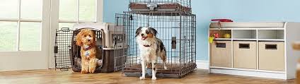 Check spelling or type a new query. How To Crate Train Your Puppy Or Older Dog