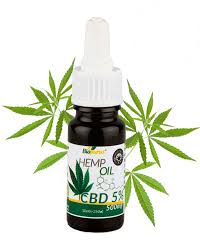 The best CBD oils for vegans you can buy in the UK | Vegan Food & Living