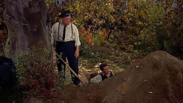 Beginner's Guide to Alfred Hitchcock: The Trouble With Harry (1955) — Talk  Film Society