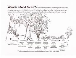 Just a brief video describing how the dwarf cannon works in osrs. Grow What Grows Well Manage Water To Rehydrate Land Know How Sun Wind Land Slope Work On Your Land Use Trees Permaculture Food Forest Permaculture Design