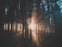 Here's a full guide to twin flames a soul connection is when two people feel they are linked on a soul level in a significant or and as we're all part of a common humanity or spiritual consciousness, we're actually all linked on a. 4 Keys To Understanding The Spirit Soul And Body Grace Church