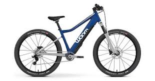 E Bikes Fur Kinder Und Jugendliche 2019 Fahrrad Xxl Blog