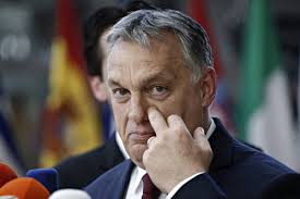 Orbán viktor válaszai és viszontválaszai az azonnali kérdések órájában. 272 Orban Viktor Stock Photos Images Download Orban Viktor Pictures On Depositphotos