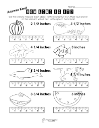 Reading A Ruler Worksheet Answers Measurement Practice 2 In 2020 Measurement Worksheets 2nd Grade Worksheets First Grade Worksheets
