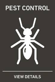 The joining of the two companies further expands massey services' presence in the baton rouge market. Bug Ninja Pest Control Termite Pest Control Baton Rouge La