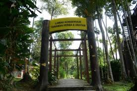 We did not find results for: Taman Botani Shah Alam Bukit Cerakah Wah Nyamannya Tempat Menarik Di Selangor 2020