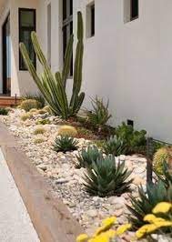 The desert often gets a bad rep in comparison to its lush green counterparts. 16 Barrel Cactus Ideas Desert Landscaping Desert Garden Xeriscape