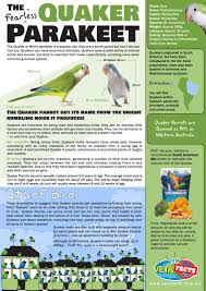 Mitred conure species profile if you want a bird with a talent for mimicry, take a look at some small and medium talking birdsthat might be a good fit. Quaker Parrot Fact Sheet By Vetafarm Issuu