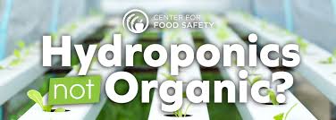 Center for food safety, the is responsible for this page. Center For Food Safety Files Legal Action To Prohibit Hydroponics From Organic Anuk Mobile