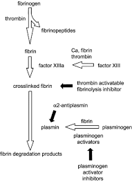 Fibrinogen And Fibrin Hematology Medical Laboratory Medical News