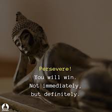 Persevere You Will Win Not Immediately But Definitely Persevere You Will Win Not Immediately But Definitely Buddha Quote