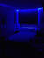 Black Lights
