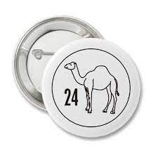 You likely don't know what to expect or you have false images about aa meetings from the media, pop. 24 Hours Of Sobriety Camel Recovery Button Sobriety Badges Keychains And Pin Back Tags