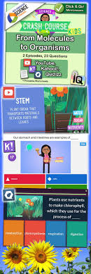 Carbon dioxide, water, and atp. Freebie From Molecules To Organisms With Interactive Quizzes Just Point And Click For Instant Mini Lessons With Crash Course Tpt Free Lessons Mini Lessons