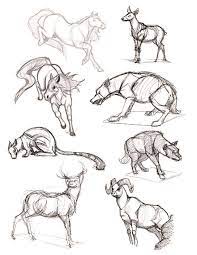 As calm mindfulness resources to give your children a chance to be aware of the. Cool Animal Sketches Animal Sketches Animal Drawings Cute Animal Drawings