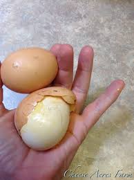 A Shell Less Egg With In Another Egg The Top Egg Is A Normal Egg The Bottom One Was Cracked In The Nest It Had One O Urban Chickens Cracked Egg