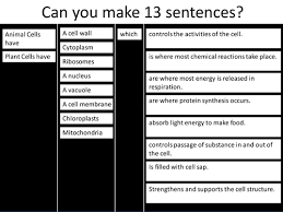 You probably should aim for a single sentence that is at least two lines, or about 30 to 40 words long. Plant And Animal Cell Sentences Teaching Resources