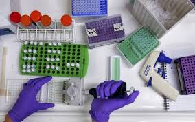 The world health organization (who) named it lambda variant on 14 june 2021. Six Uk Cases Fast Spreading Lambda Variant Puzzles Covid Scientists Due To Unusual Set Of Mutations Cityam Cityam