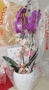 Bestel direct in onze webshop of ontvang persoonlijk advies! Geldgeschenk Mit Orchidee Geldgeschenke Blumen Hochzeit Geschenk Geld Geldgeschenke
