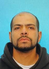 Newly released reports detail 'chaotic' chase, police shooting