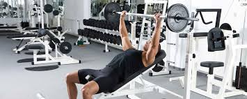 Les marques sont apposées sur les quartiers arrière au niveau du faux filet à la hauteur de la quatrième vertèbre lombaire. Le Developpe Incline Pour Se Muscler Le Haut Des Pectoraux