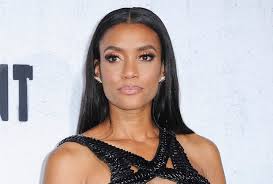 SWAT' Season 8 Casting News: Annie Ilonzeh New Team Member