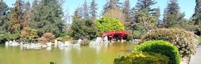 I also enjoyed eating at multiple different. The Japanese Friendship Garden Is A Great Place For Your Next Snap