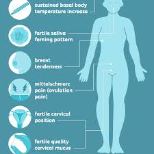 Maybe you would like to learn more about one of these? 8 Signs Of Ovulation To Detect Your Most Fertile Time