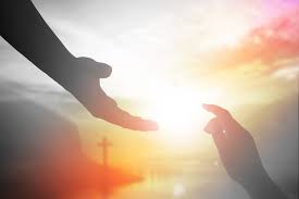 Santidade - Catedral de Londrina