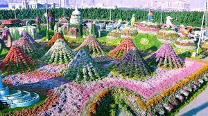 Check spelling or type a new query. Dubai Miracle Garden The World S Largest Natural Flower Garden Cnn Travel