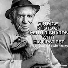 Erstes Haustier Von Keith Richerds