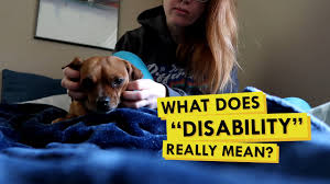 Children with adhd often struggle to concentrate at school. Exploring How My Psychiatric Service Dog Can Help With Adhd And Anxiety Youtube