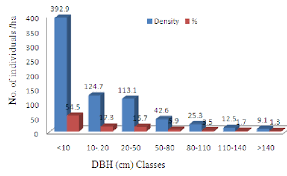 Image result for Achyrospermum schimperi