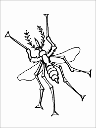 Mosquitoes don't have to be nasty blood suckers. Mosquito Coloring Page To Print Coloringbay