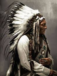Sitting Bull Oglala Sioux Chief Native American Warrior Native American Artwork Native American Pictures