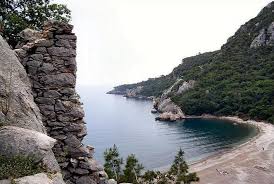 Check spelling or type a new query. Olimpos Vikipediya