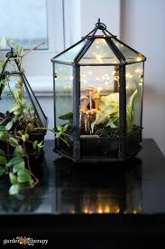 Indoor Plant Care How To Grow Tropical Plants In Geometric Terrariums Beautiful Terrariums Geometric Terrarium Tropical Plants