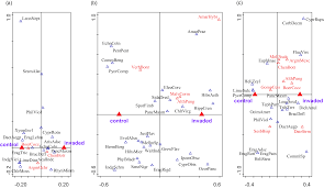 Image result for Leucas sexdentata