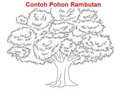 Apel adalah buah yang populer, mengandung antioksidan, vitamin, serat makanan, dan berbagai nutrisi lainnya. Contoh Psikotes Gambar Pohon Yang Baik Dan Benar Penjelasan