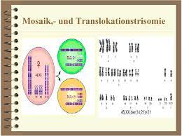 Eine Menschliche Korperzelle 46 Chromosomen 22 Autosomenpaare 1 Gonosomenpaar Pdf Kostenfreier Download