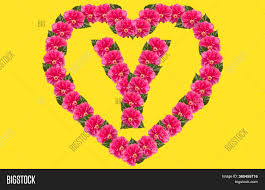 Affordable and search from millions of royalty free images, photos and vectors. Alphabet Y Design Image Photo Free Trial Bigstock