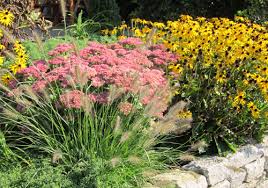 Staudenbeet Neu Anlegen Stauden Pflanzen Staudenbeet An Einer Boschung Terrassen Rabatte Native Plants