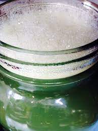 Diy Herbal Shampoo With Nettle And Horsetail Infusion With Castile Soap And Herbal Oils Herbal Shampoos Herbal Oil Green Beauty