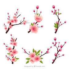 Download Several Blooming Branches In Realistic Style For Free Flor De Cerejeira Arte Arte Flor Flores Pintadas